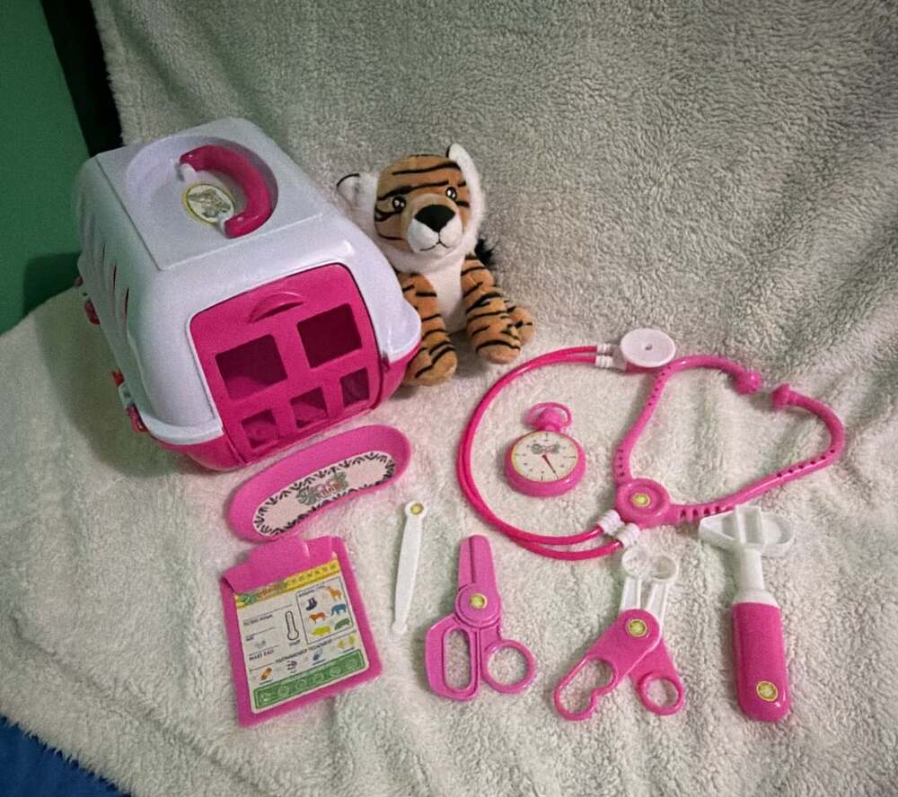 My Zoo Clinic Vet Playset Tiger And Carrying Case